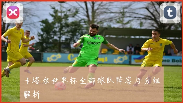 卡塔尔世界杯全部球队阵容与分组解析