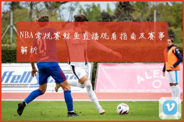NBA常规赛鲸鱼直播观看指南及赛事解析