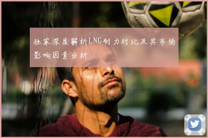 独家深度解析LNG耐力对比及其市场影响因素分析