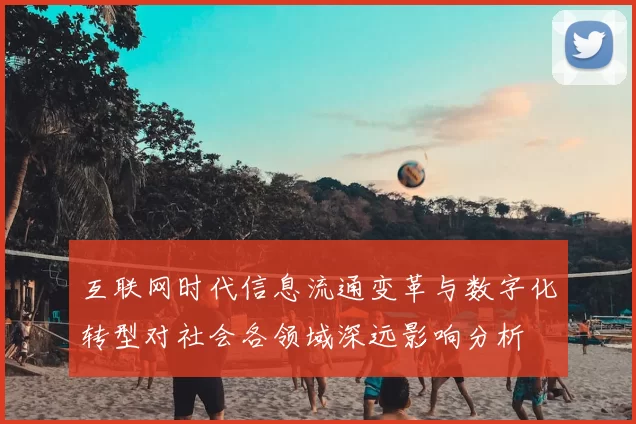互联网时代信息流通变革与数字化转型对社会各领域深远影响分析