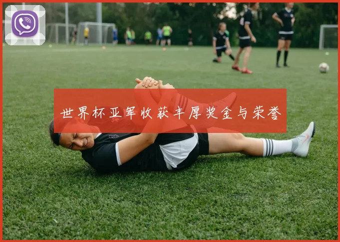 世界杯亚军收获丰厚奖金与荣誉