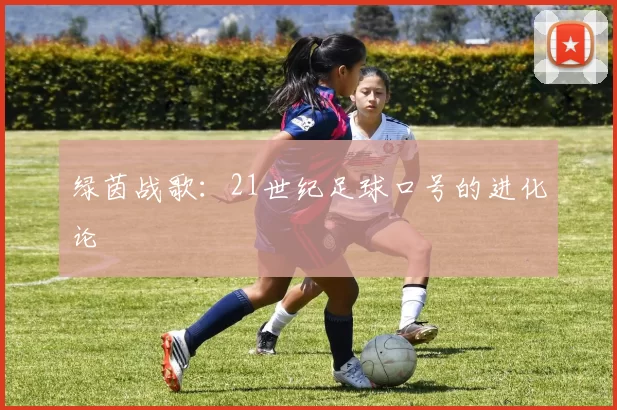 绿茵战歌：21世纪足球口号的进化论
