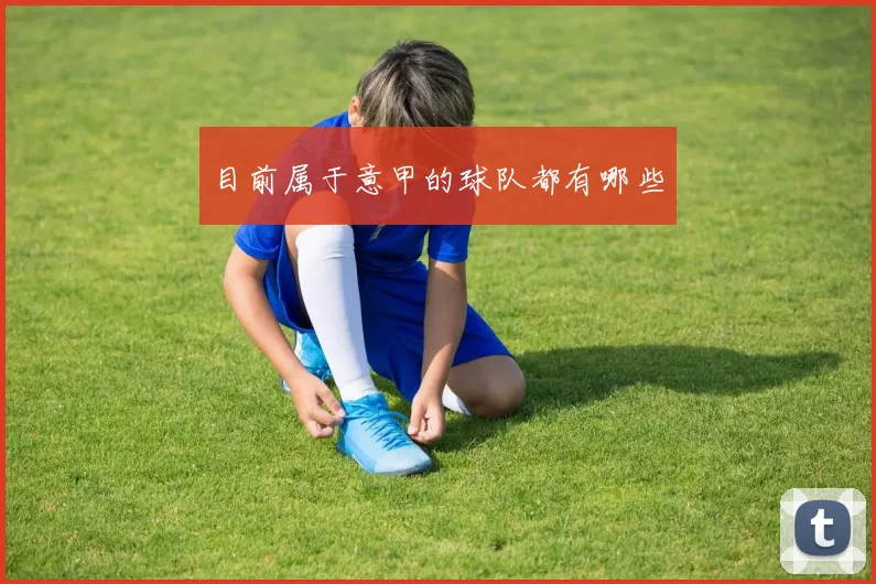 目前属于意甲的球队都有哪些