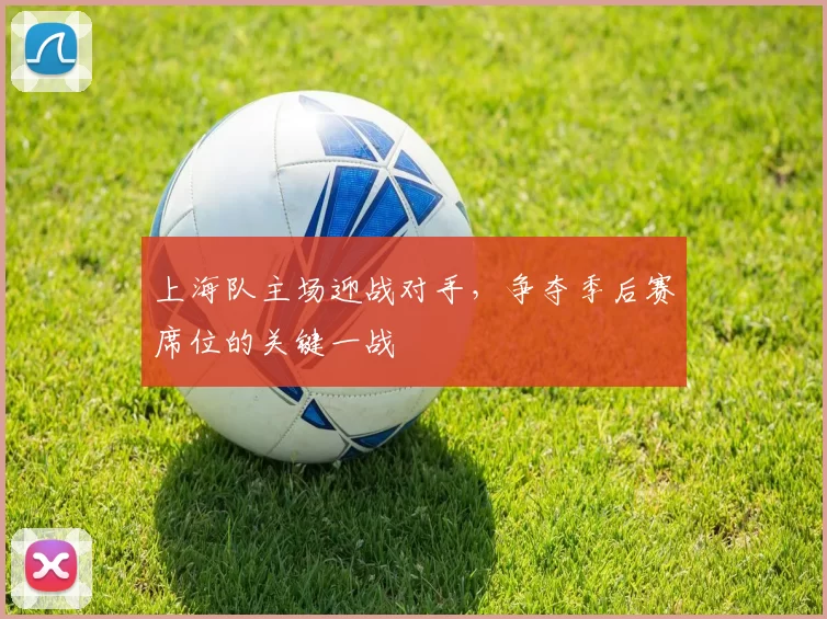上海队主场迎战对手，争夺季后赛席位的关键一战