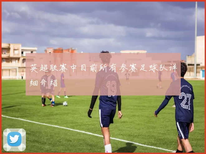 英超联赛中目前所有参赛足球队详细介绍