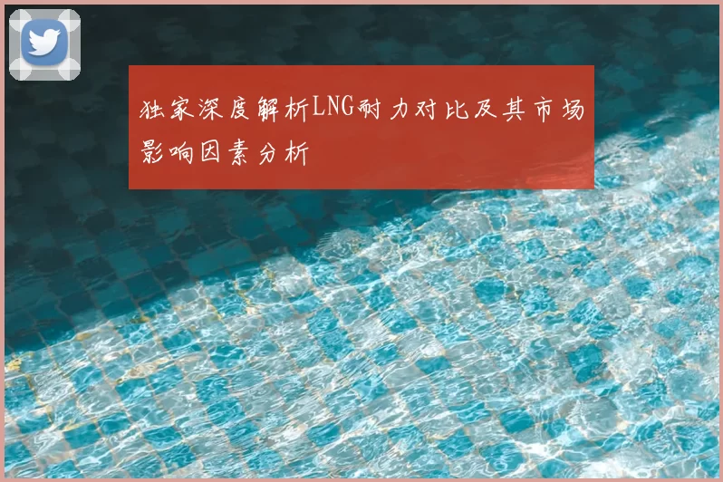 独家深度解析LNG耐力对比及其市场影响因素分析