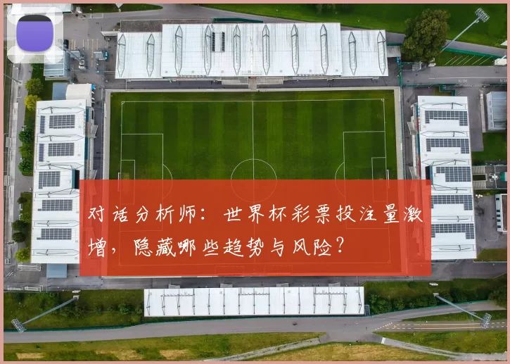 对话分析师:世界杯彩票投注量激增,隐藏哪些趋势与风险?