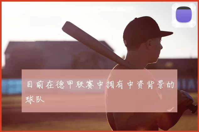 目前在德甲联赛中拥有中资背景的球队