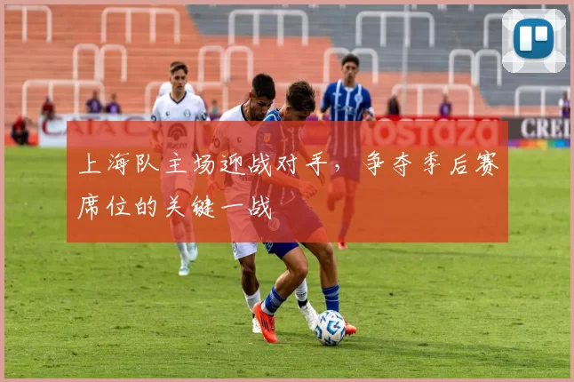 上海队主场迎战对手，争夺季后赛席位的关键一战