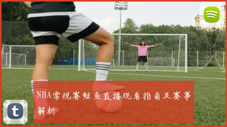 NBA常规赛鲸鱼直播观看指南及赛事解析