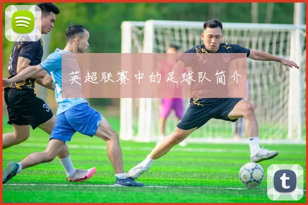 英超联赛中的足球队简介