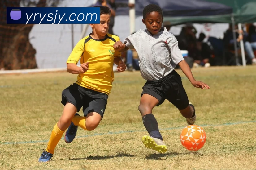 爱游戏体育品牌故事